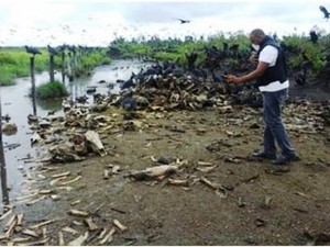 Foto: Divulgação/ Promotoria de Justiça de Marabá